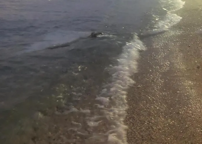 Sinani Seaside * Vlorë